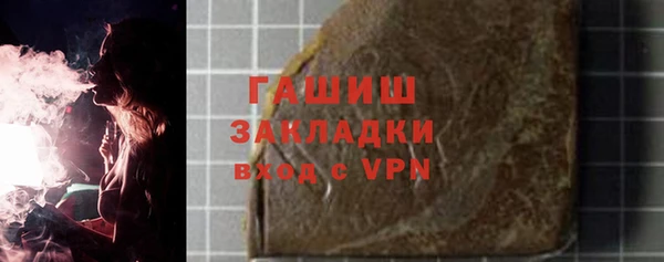 хмурый Ельня