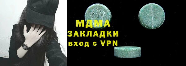 хмурый Ельня