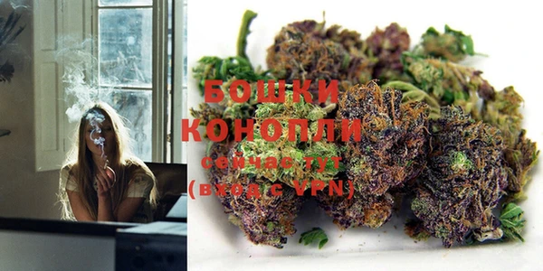 MESCALINE Елизово