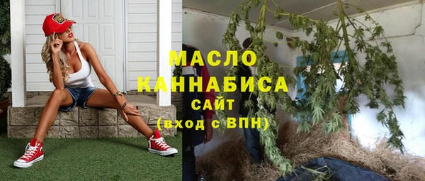хмурый Ельня