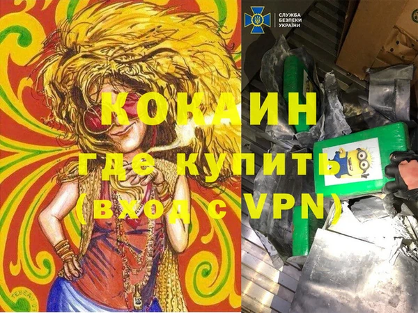 хмурый Ельня