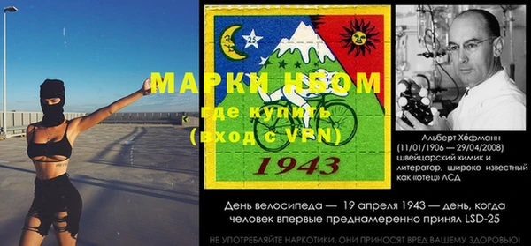 хмурый Ельня
