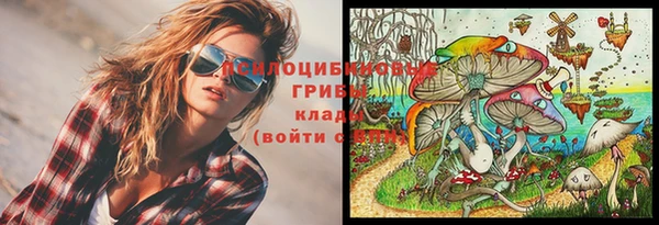 мескалин Заводоуковск