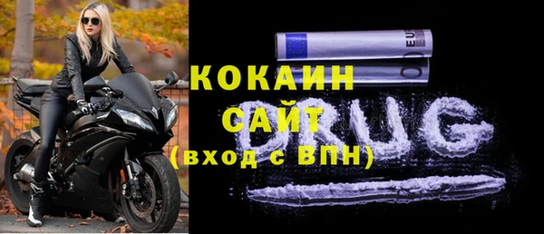 хмурый Ельня
