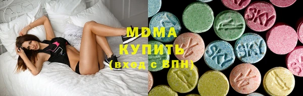 хмурый Ельня