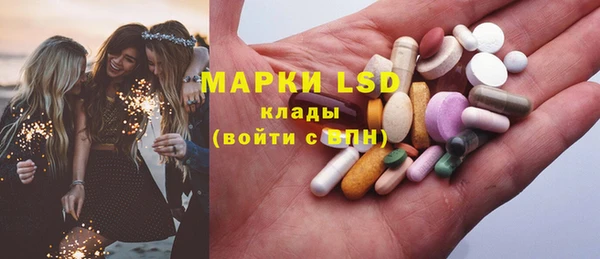 хмурый Ельня