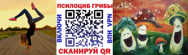 Псилоцибиновые грибы мицелий  наркошоп  Эртиль 